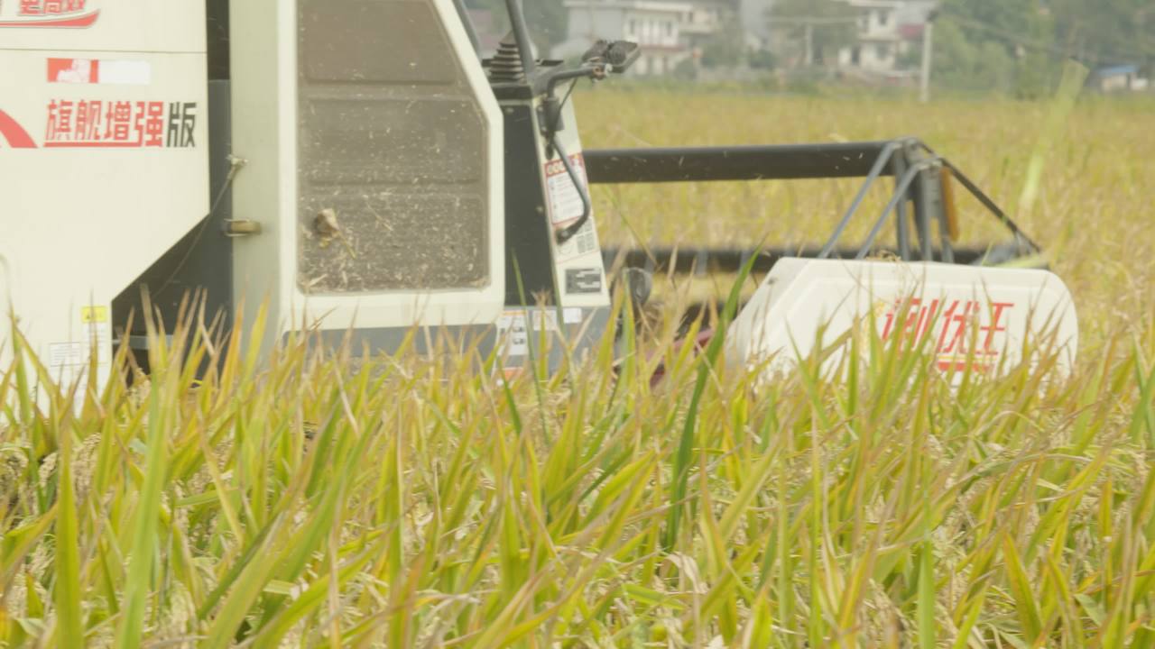 农用机械收割机三农丰收 6