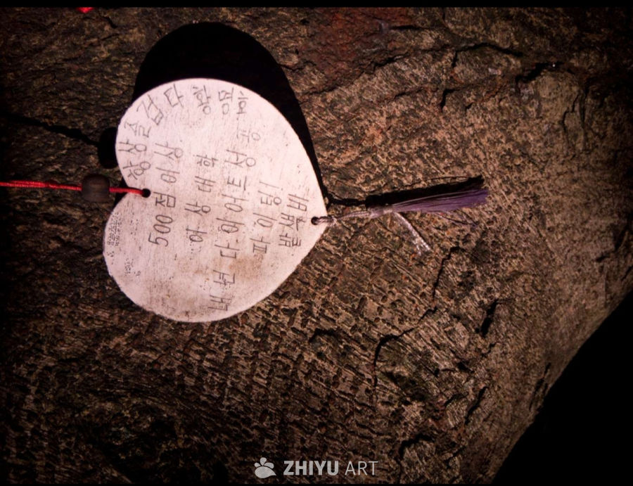 树皮上的祈愿心