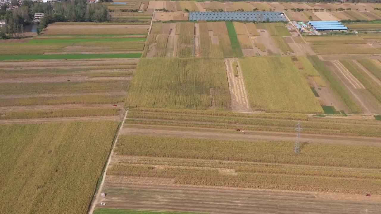 玉米地收割机
