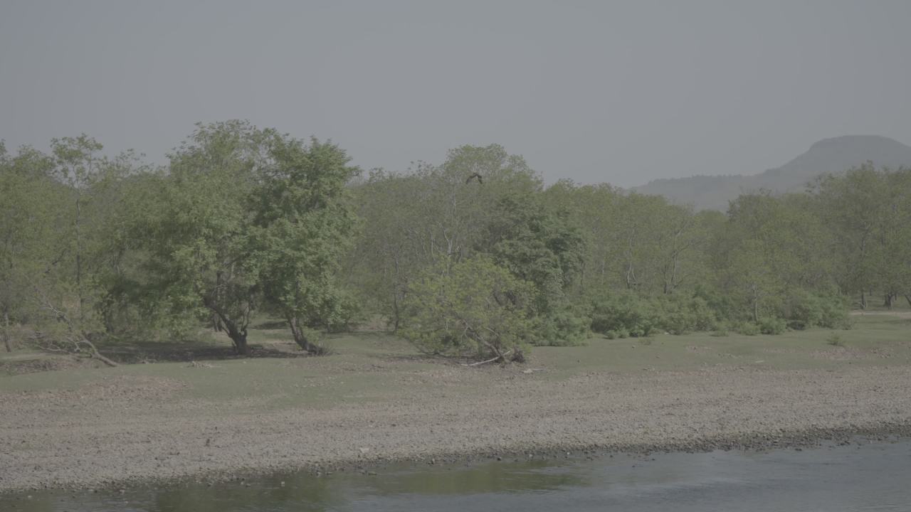 漓江 15