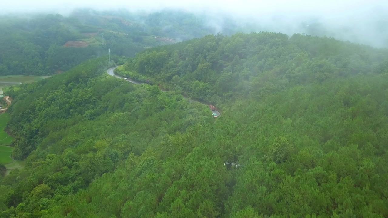 山间雾中行