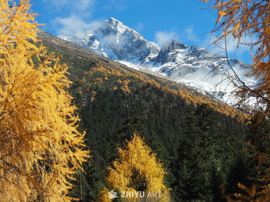 川西毕棚沟/四姑娘山 52