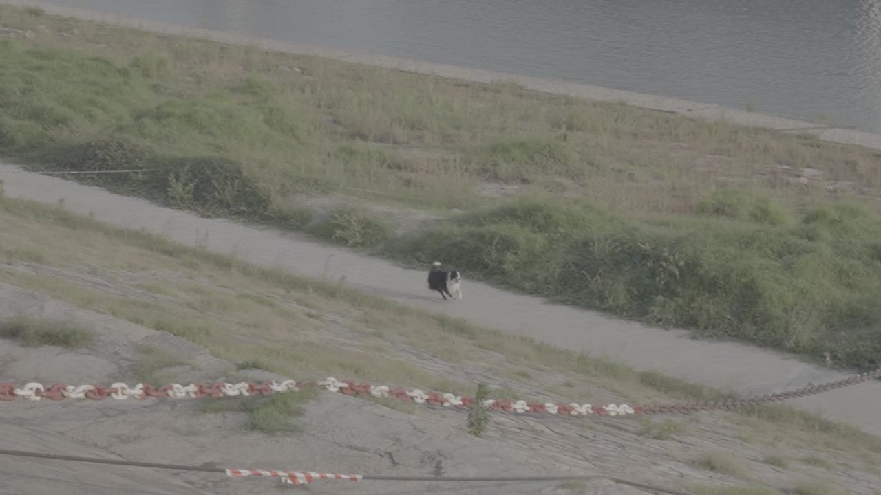 宜昌江边 29