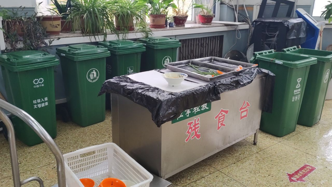 大学 保定 10