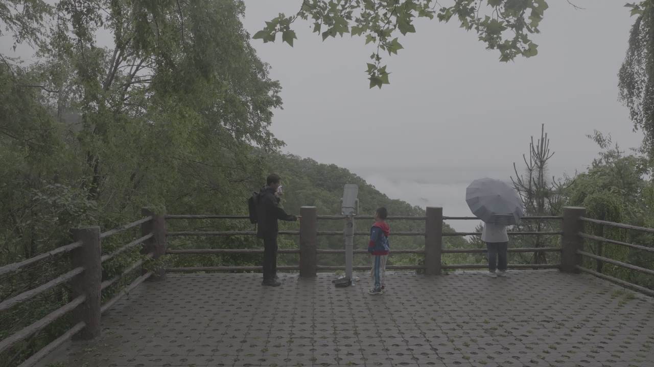 雾中观景台的家庭时光