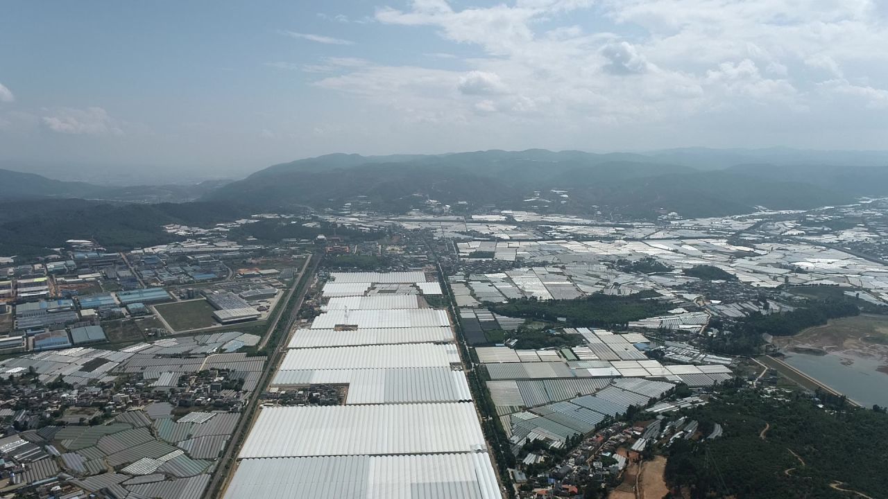 塑料大棚 蔬菜花卉种植基地3