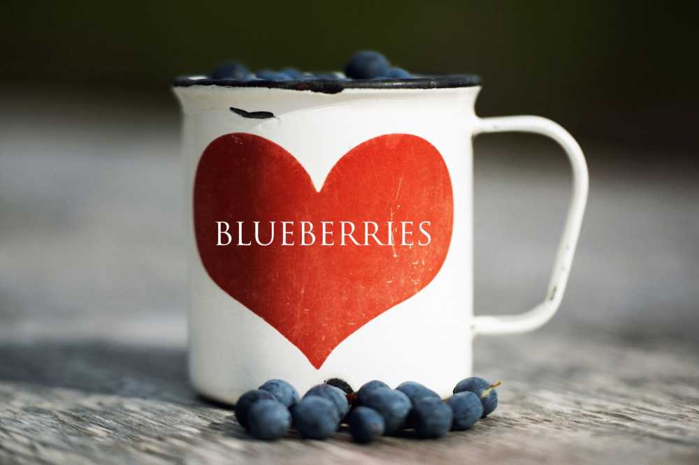 浆果蓝莓心脏杯