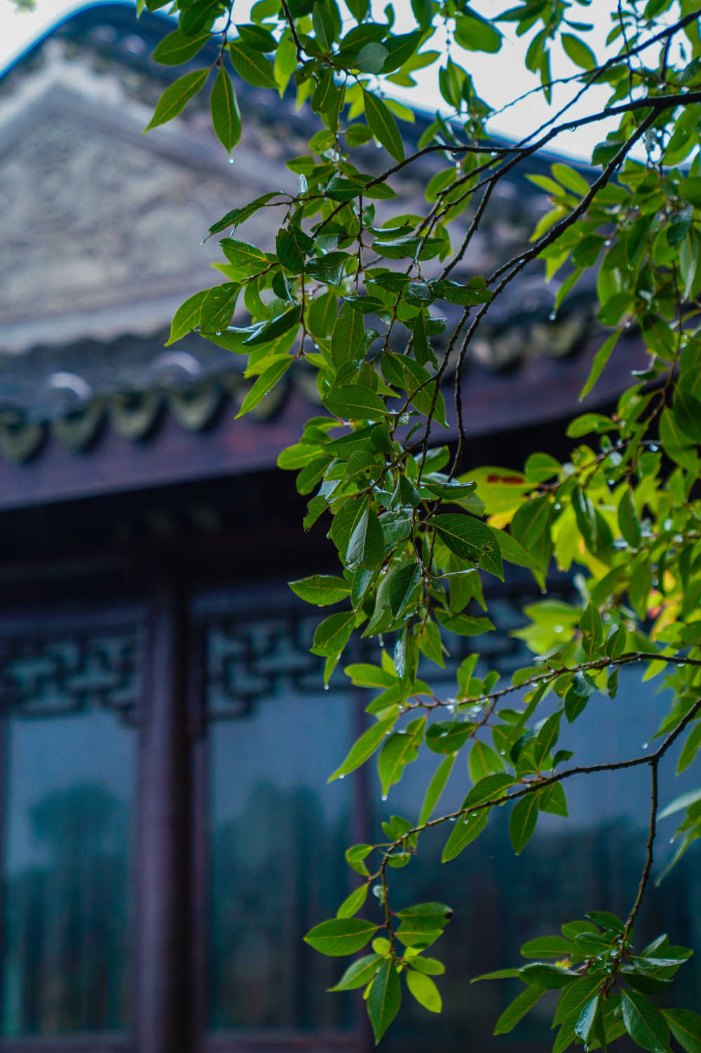 锦溪古镇