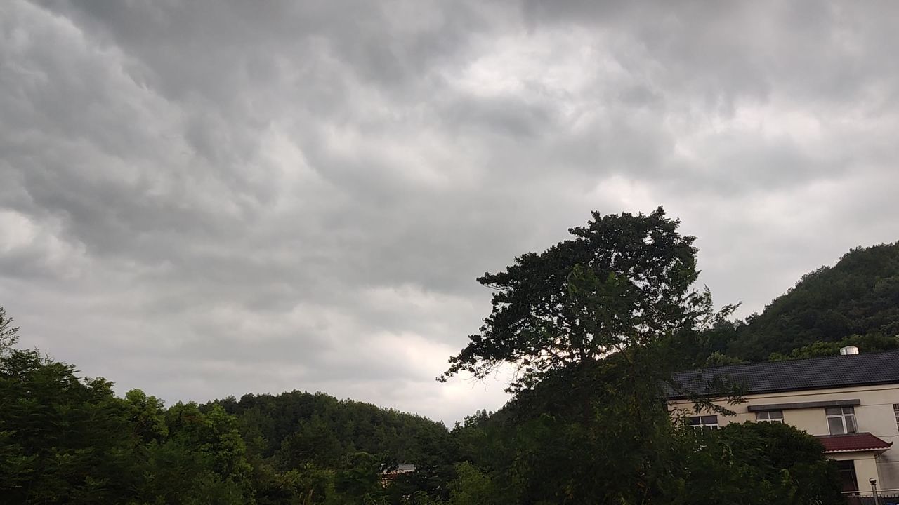 暴雨前夕