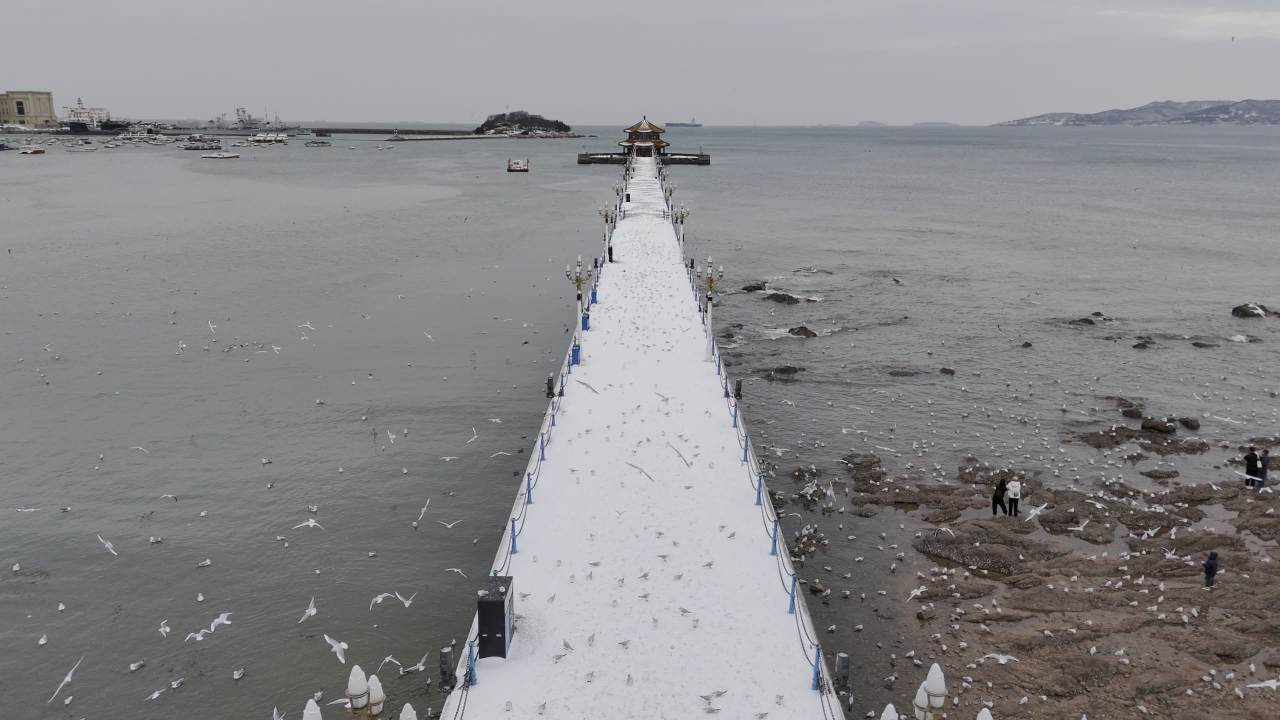 青岛市南老城区栈桥海边雪景航拍 4
