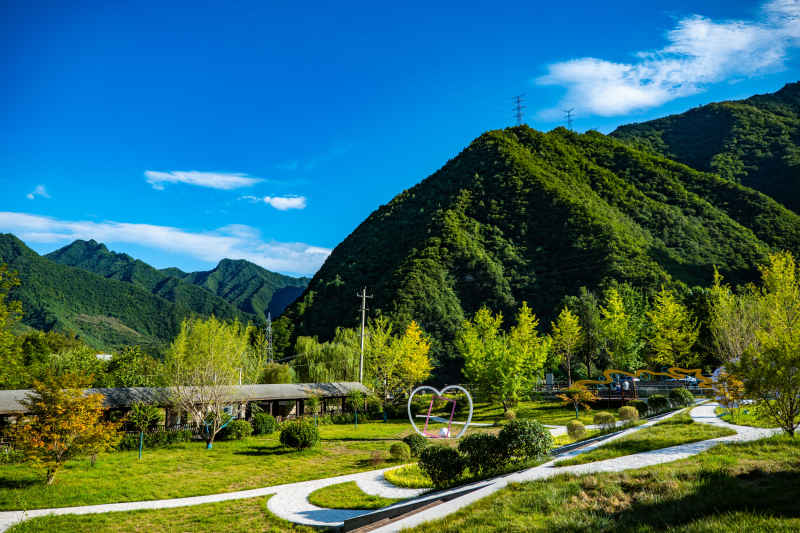 大山里的美景 23
