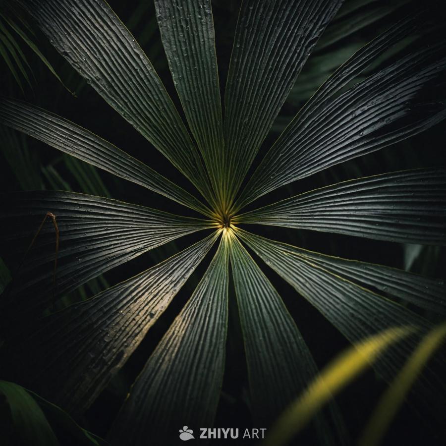 丛林中一片棕榈叶的暗淡和忧郁的画面，拍摄于早上。叶