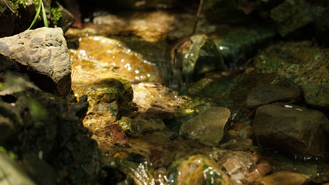 清澈山泉水温泉矿泉水小溪山涧 17