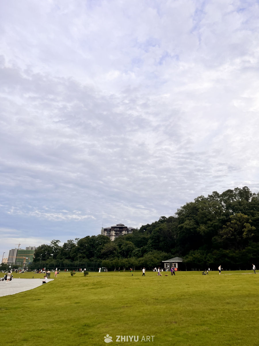 公园里的悠闲时光