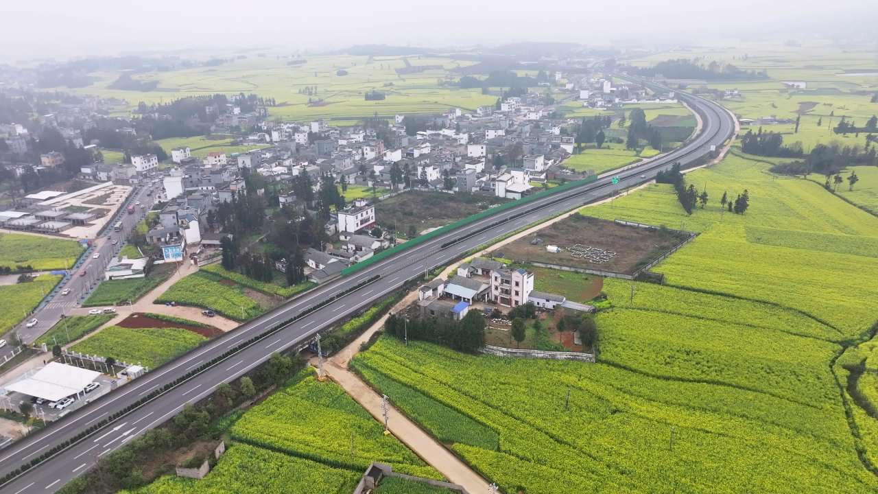 4k航拍油菜花田中的高速公路