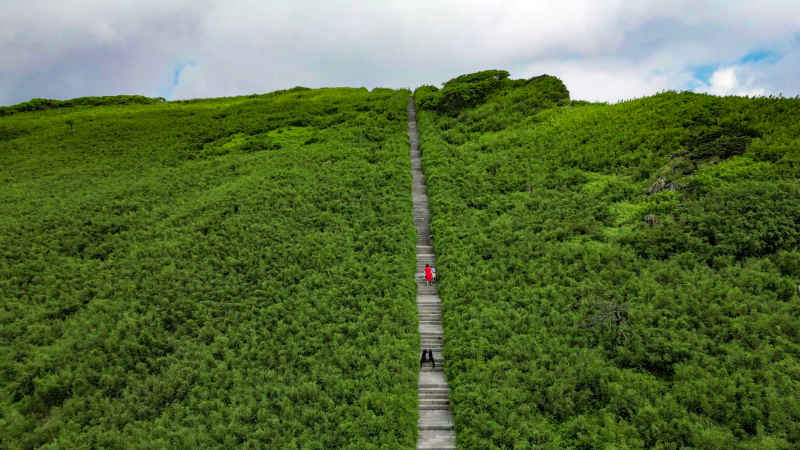 风景航拍湖北神农架5A景区  