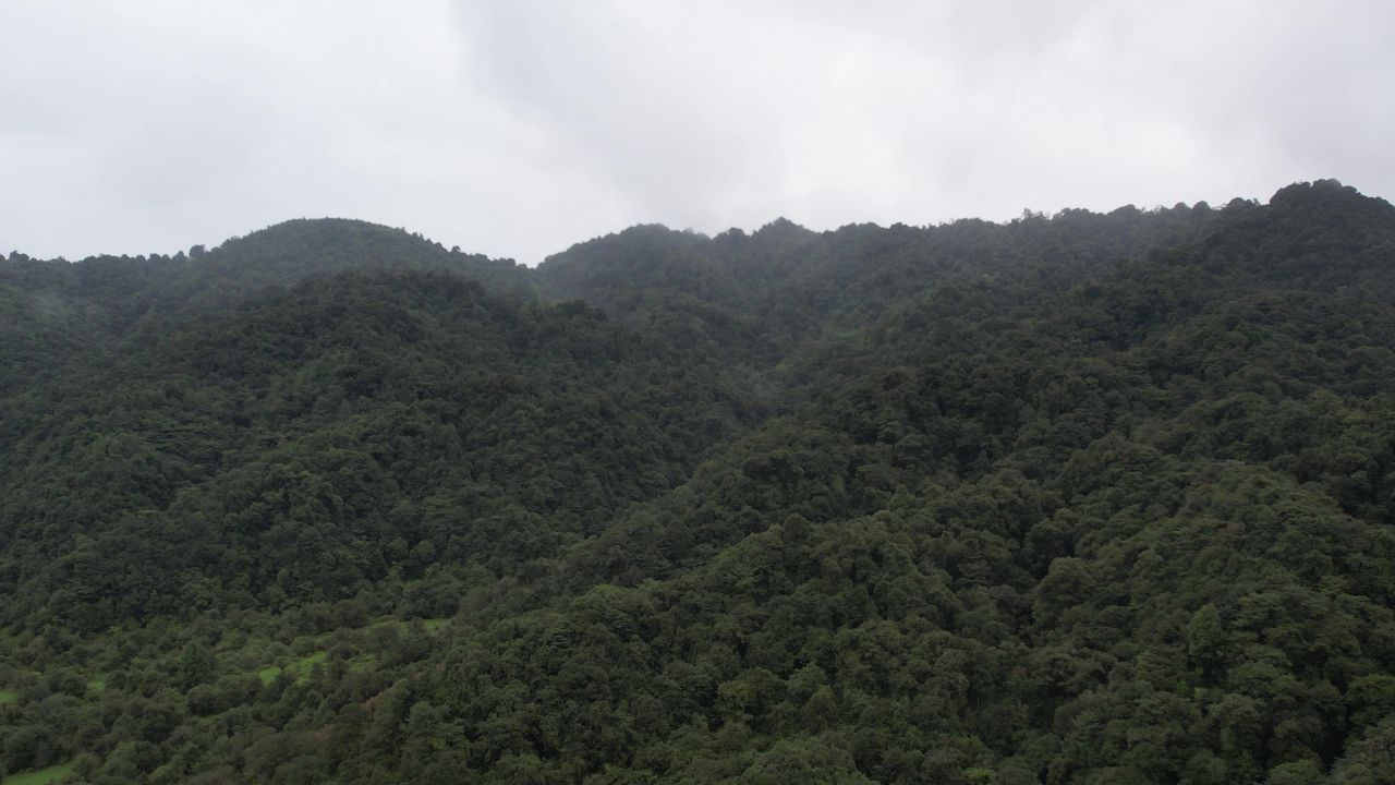 高山森林茂盛 航拍