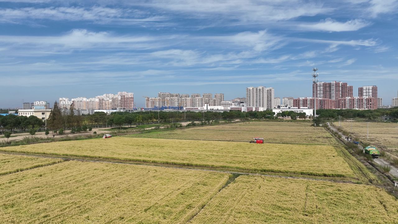 航拍乡村秋收现场 4