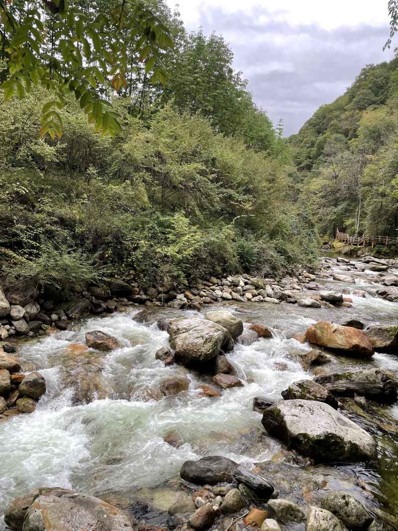 秦岭大箭沟