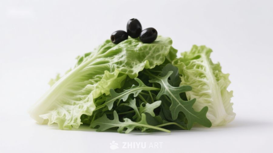 新鲜生菜与黑橄榄组合