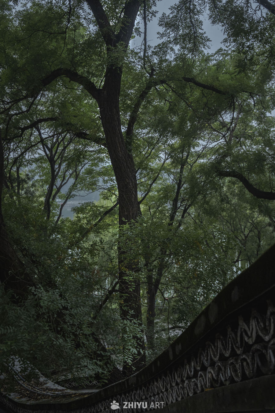古院
