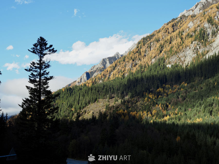 川西九寨/毕棚沟/四姑娘山 23