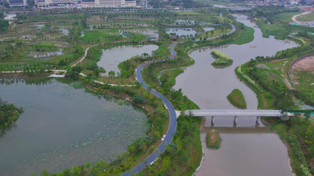 航拍厦门马銮湾双溪湿地公园 10