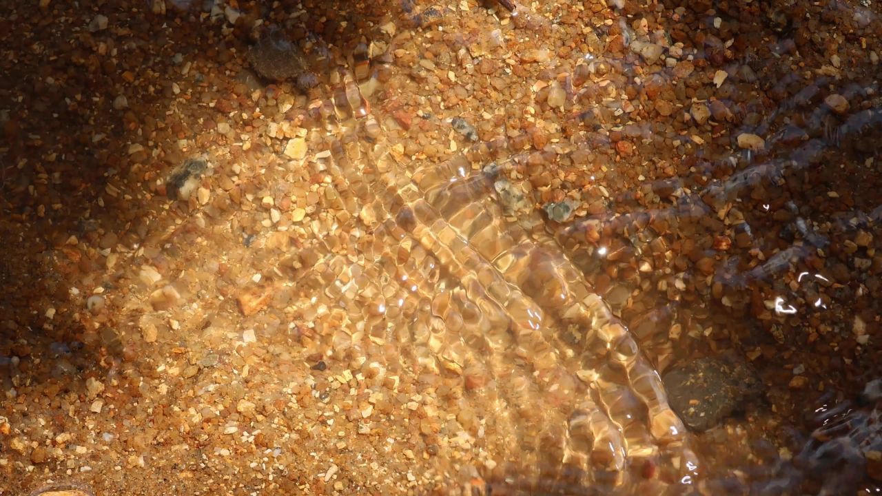 4K小溪阳光清澈流水3