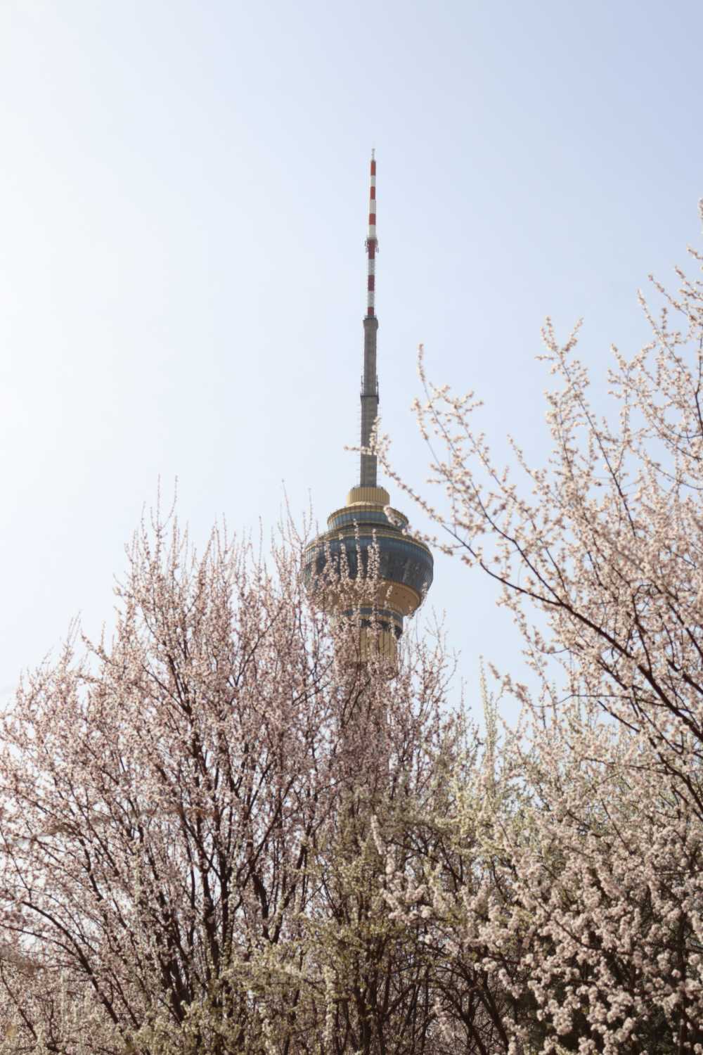 塔