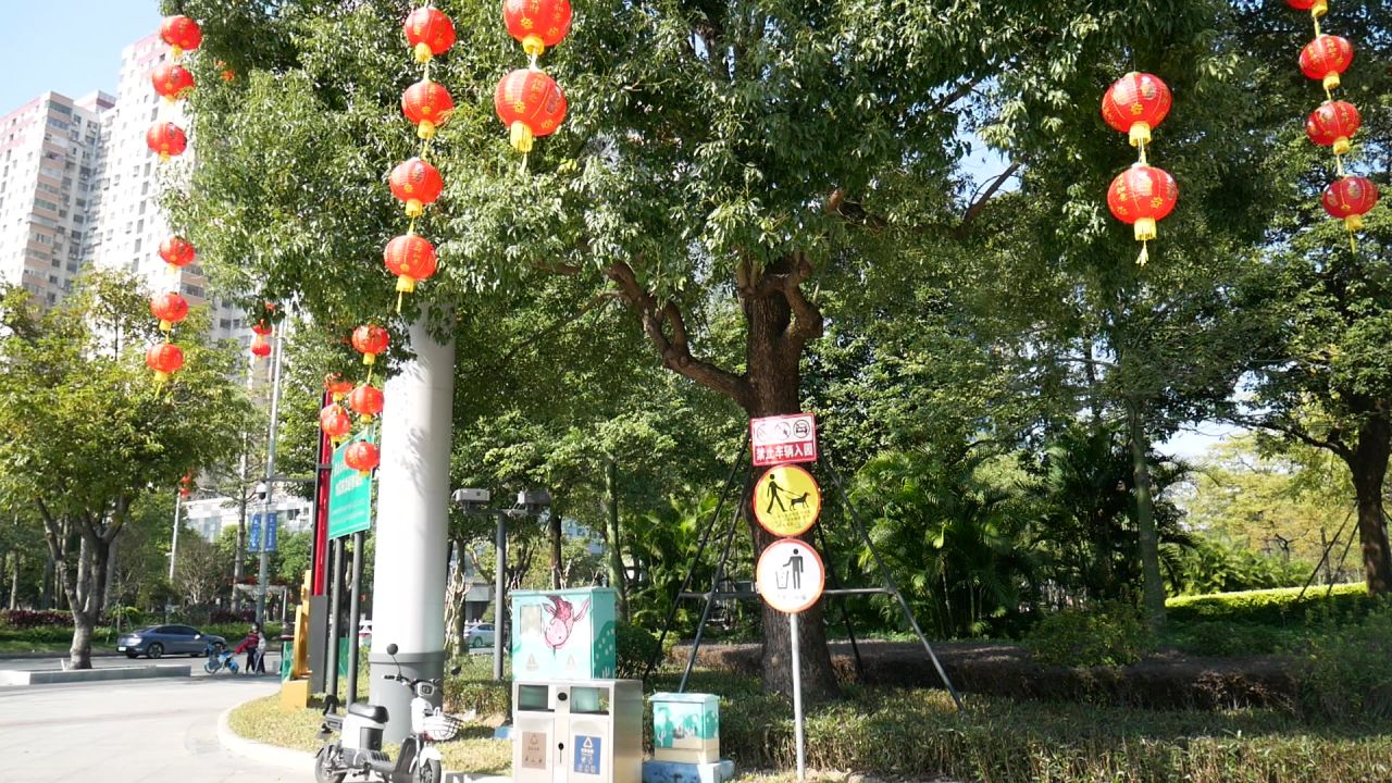 公园广场大树上的红灯笼串