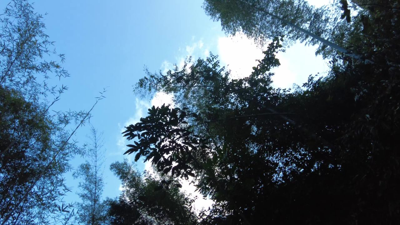 广东丹霞山5A景区实拍 