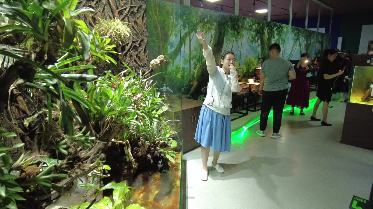 短视频创作者小城市乡村旅游活动记录素材