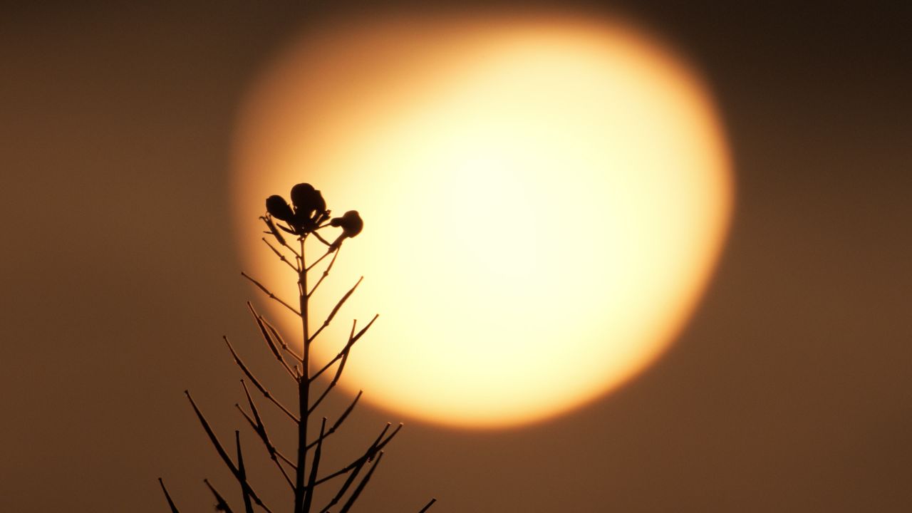 太阳日出日落夕阳逆光刺眼星芒