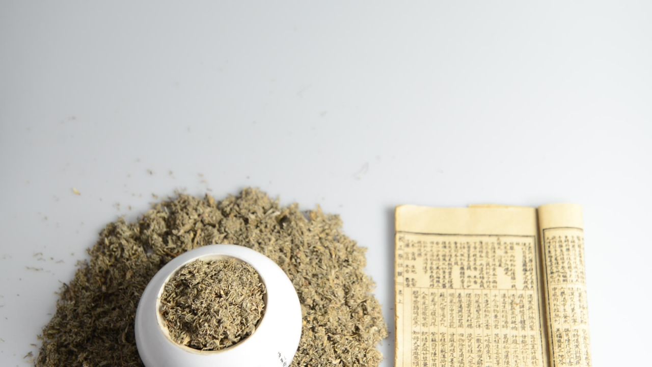 中药材茵陈 4