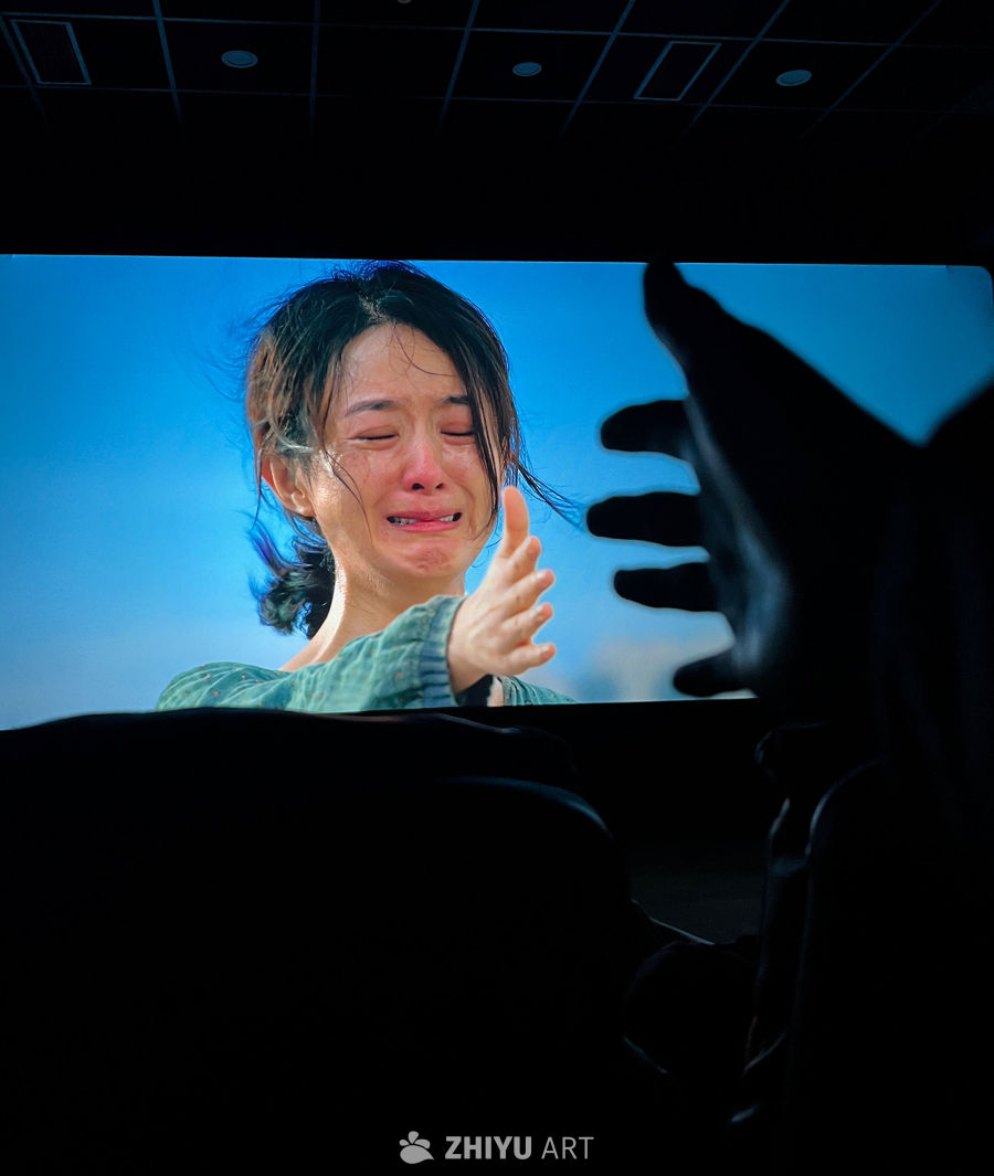 第二十条