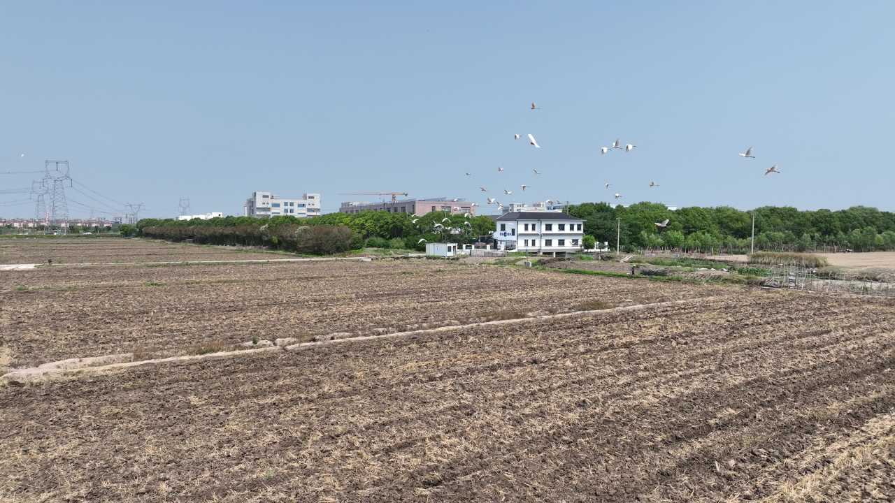 航拍夏收农忙时节 2
