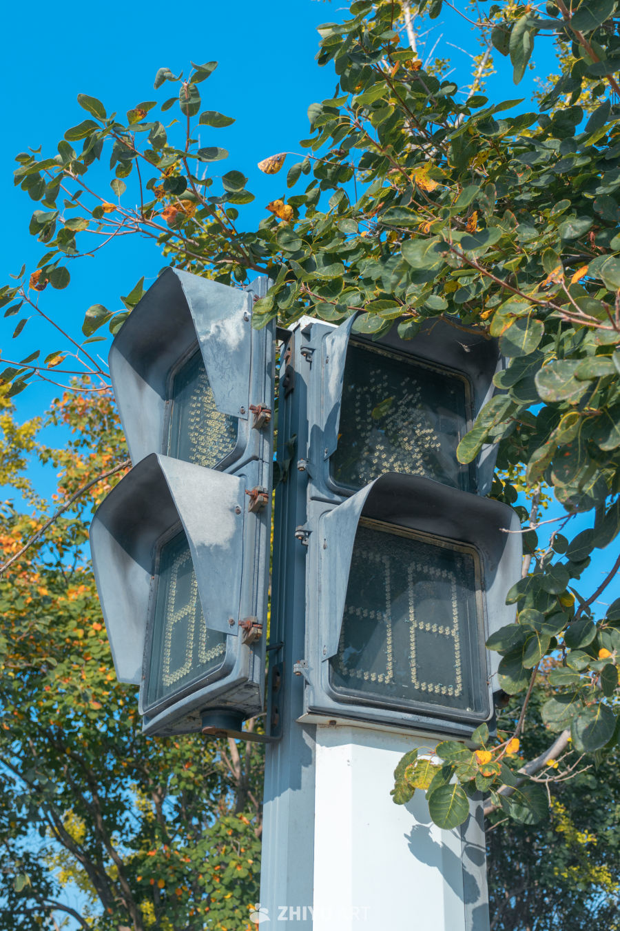 秋日街角的交通信号灯