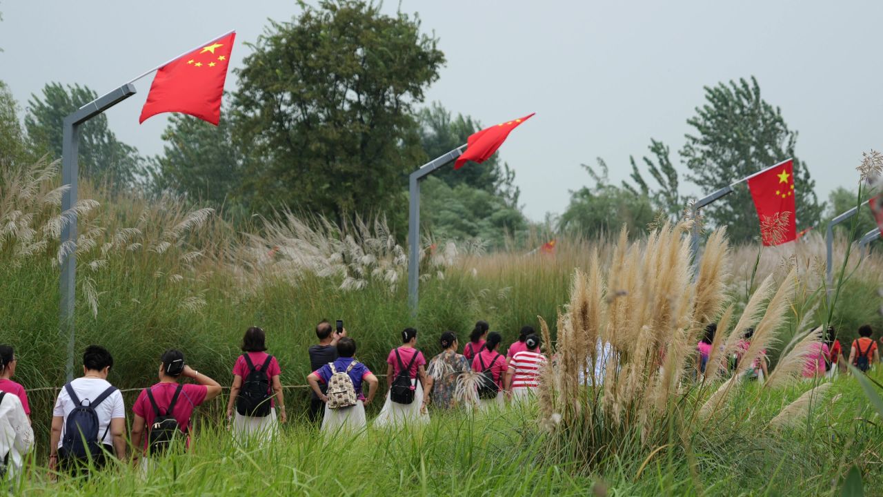 国庆江边芦苇荡 13