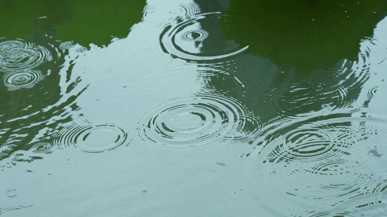 雨滴落在水面形成圆圈圈