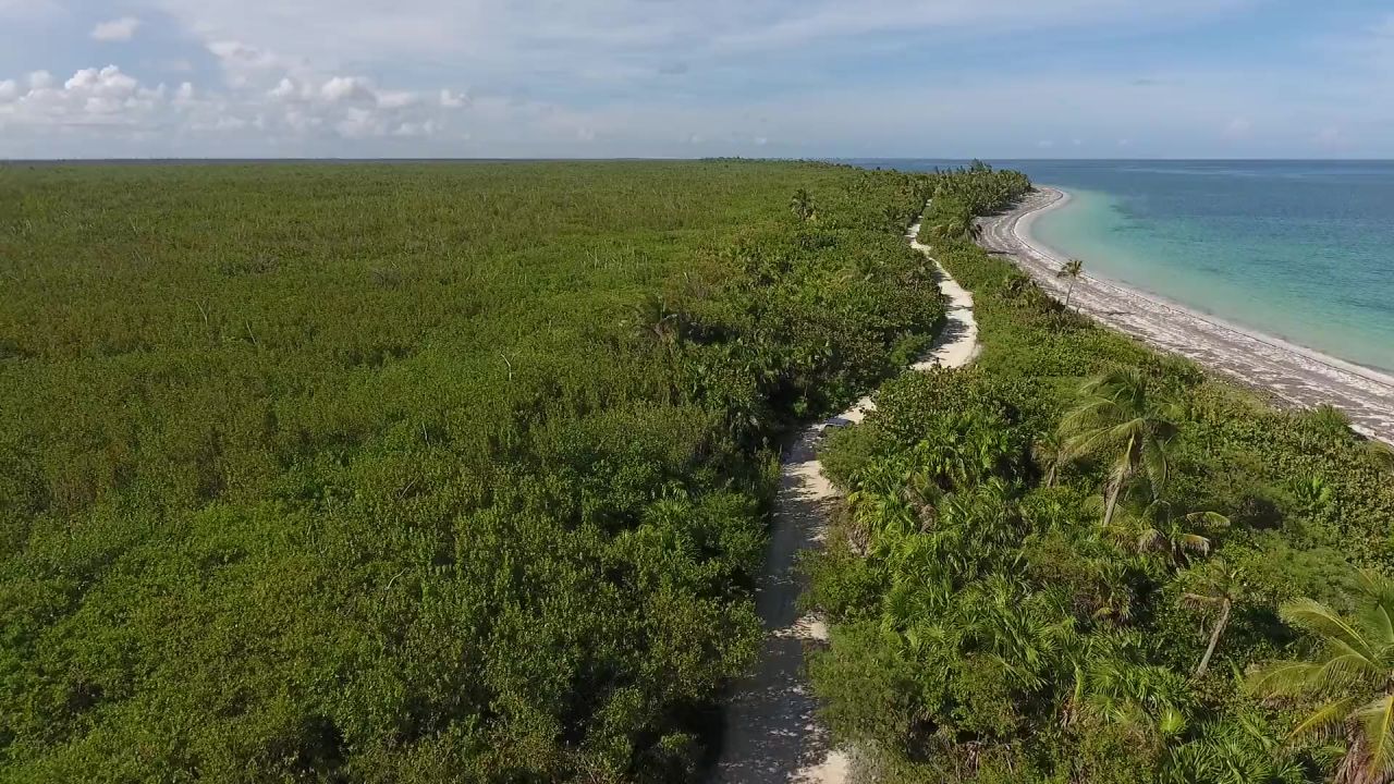 海海滩卡车路径