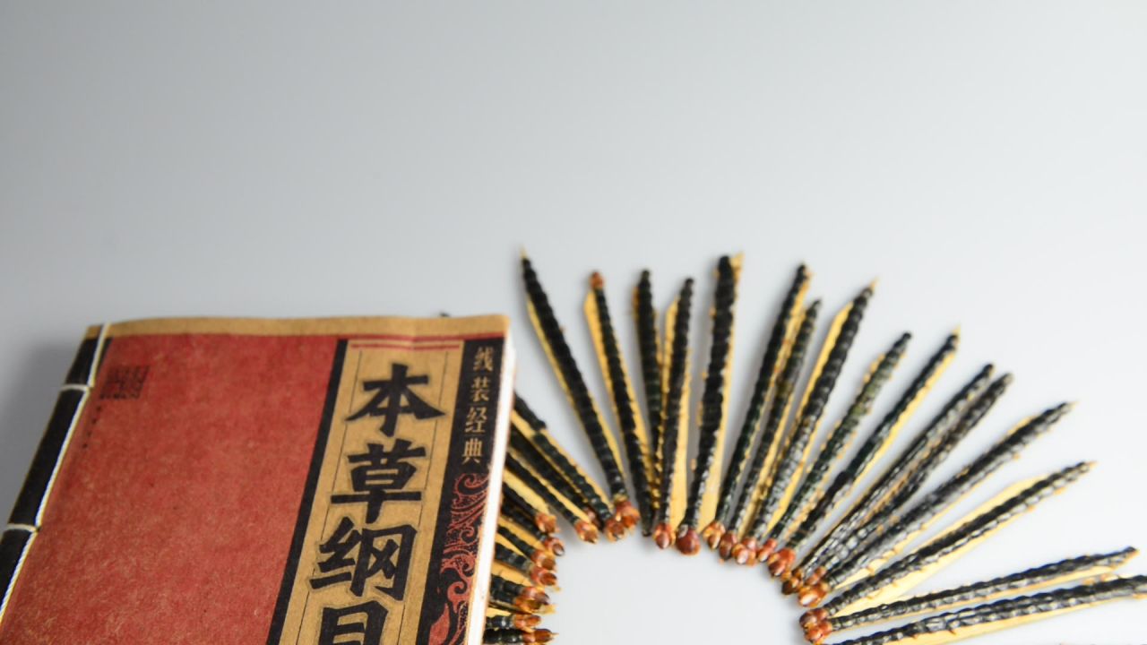 蜈蚣中药材 25
