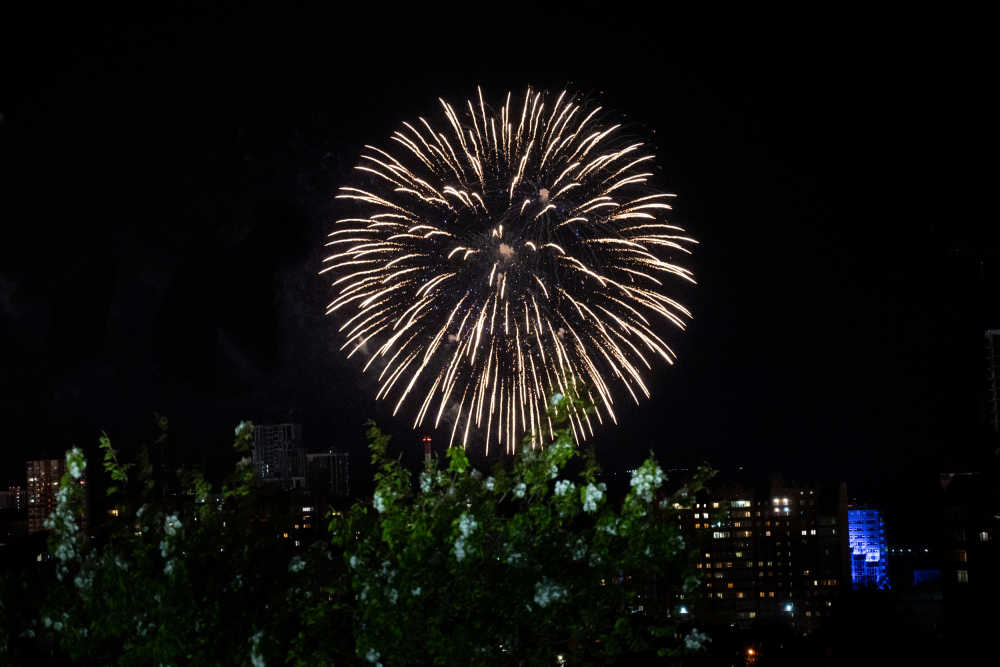 烟花绽放