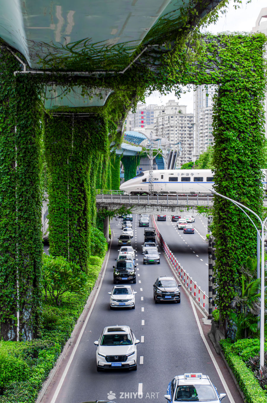 绿意盎然的都市交通景象