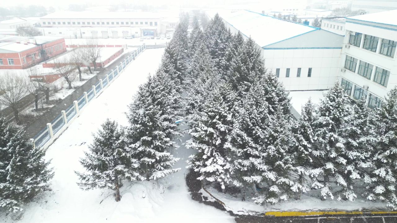 DJI_0169 8
