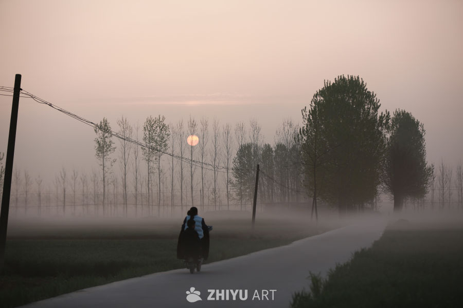 晨雾中的乡间小路
