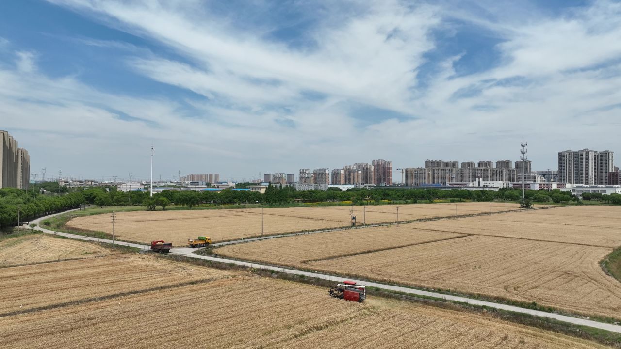 4K航拍昆山农业夏收 52
