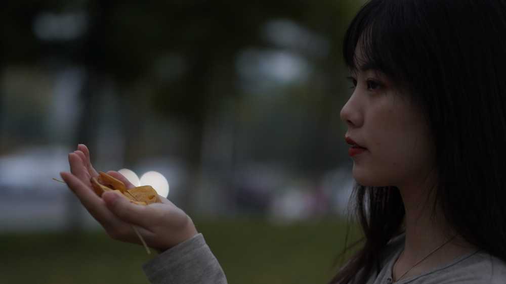 银杏与你