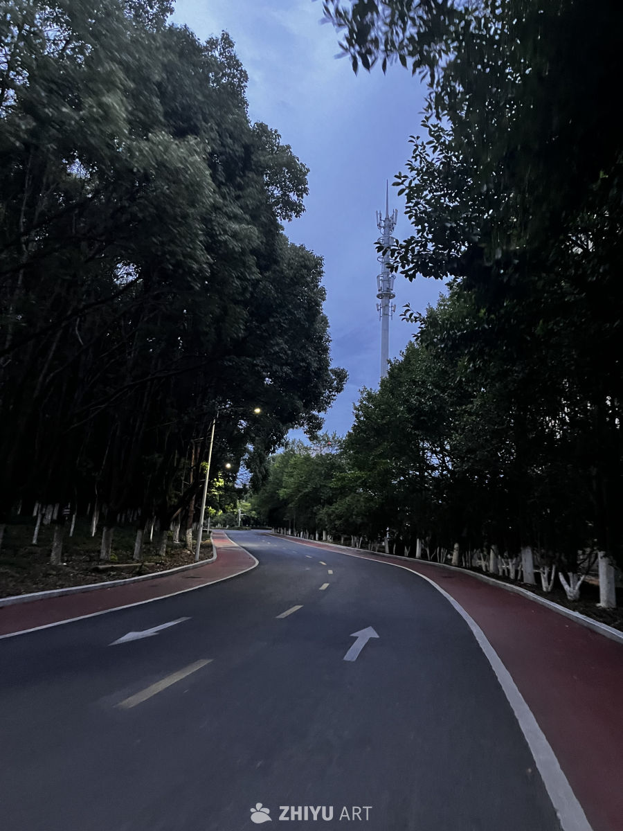 傍晚的林荫道