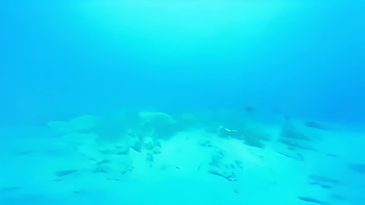 画面展示了从水面之上到水下的视角转换。上半部分为浅