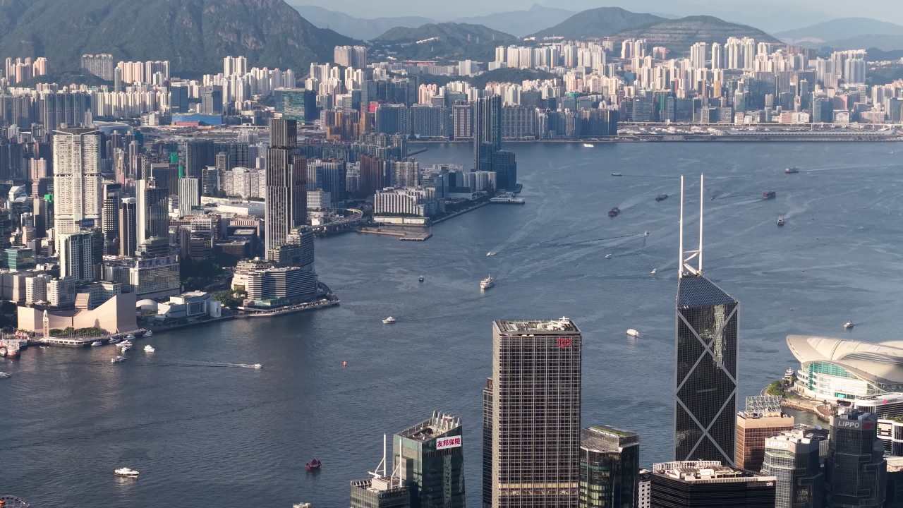 维港 6